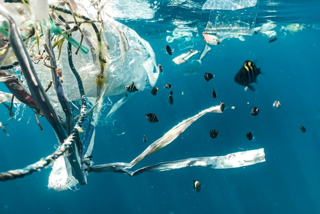 akdurablesupplyco-AK Sustainability Ocean Plastic Naja Bertolt JensenSustainability